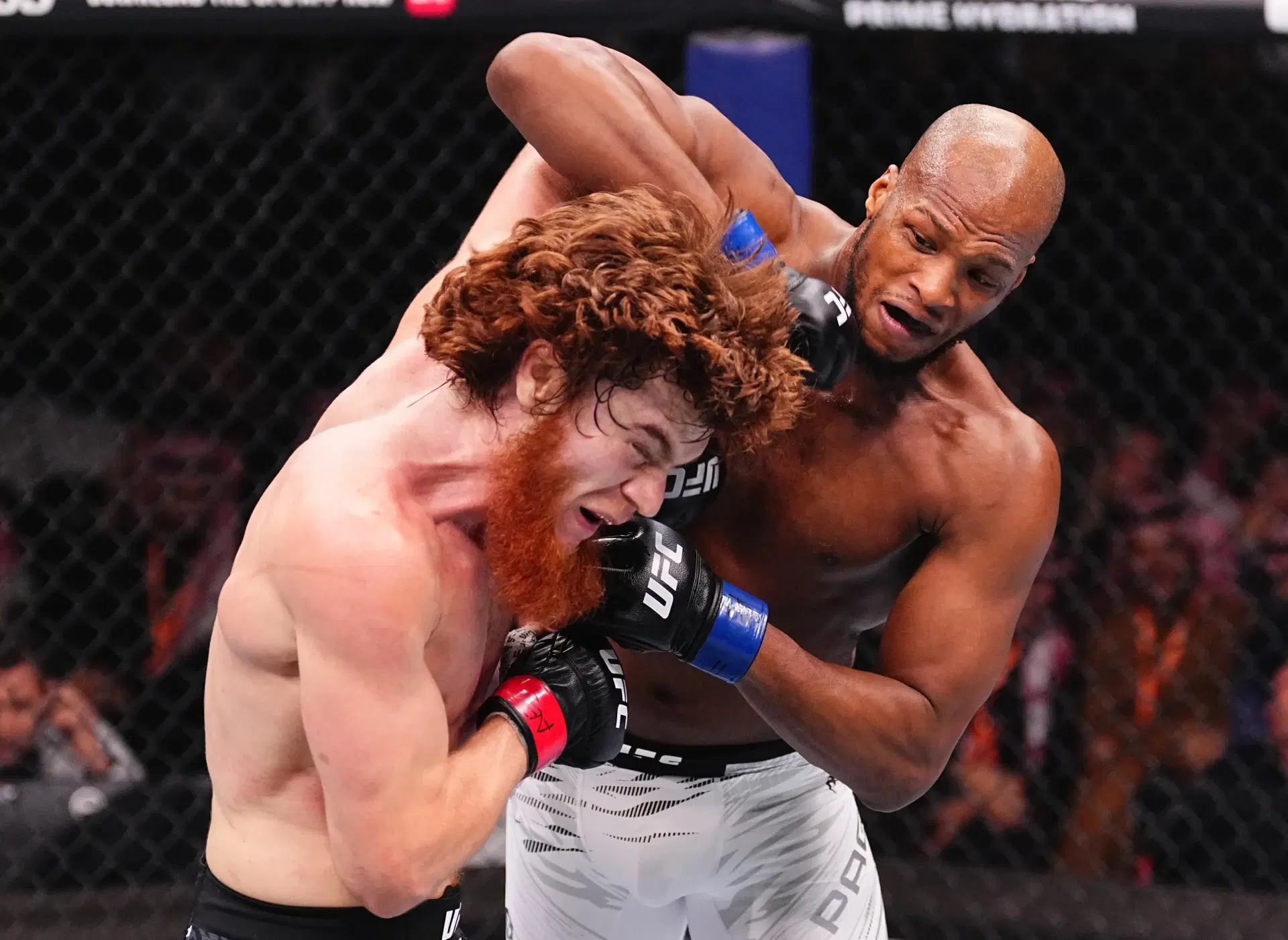 MVPが再びミドル級へ　ルジボエフのUFC同階級無敗記録に挑む
【UFCファイトナイト・パリ】