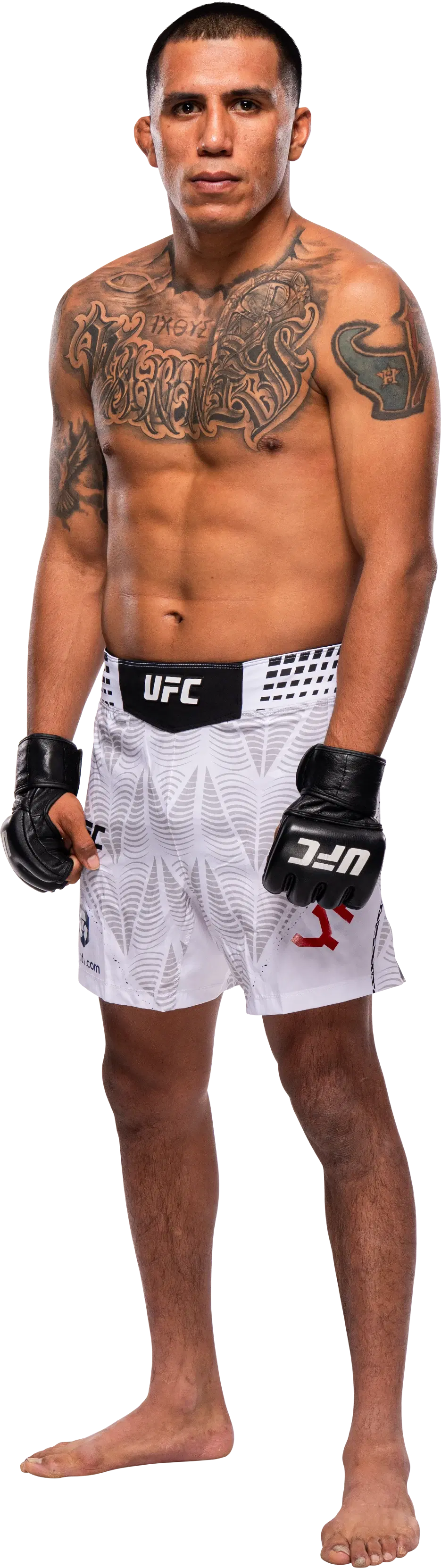 ジョン・ヤニス